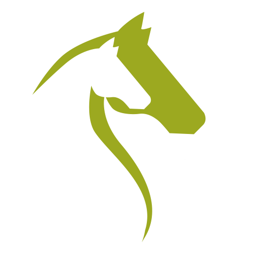 cropped-favicon_steins.png