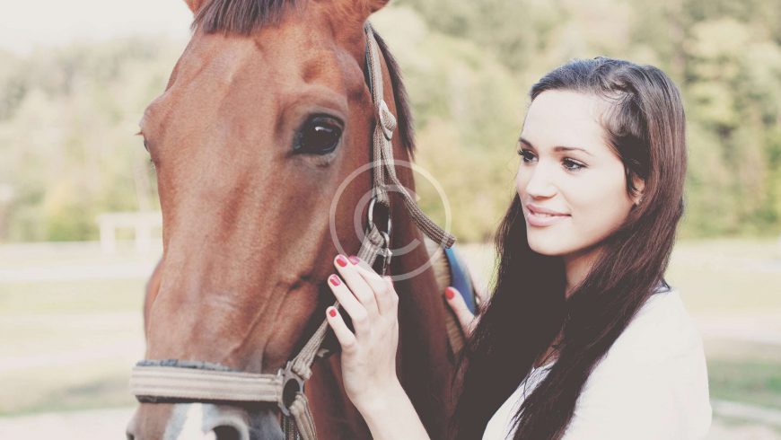 Young Horses Fair Better With a Friend