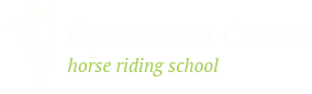 logo_h5.png